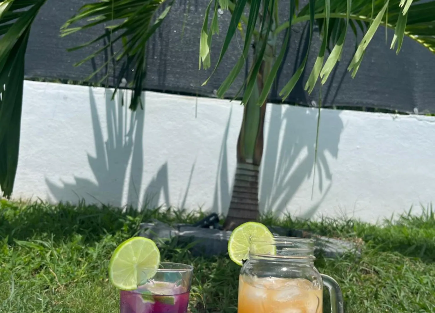 아파트 Villa O'Mangos Hibiscus 생프랑수아